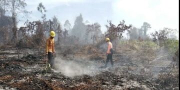 49f67113 9e12 4559 9099 0b1022a64fbf