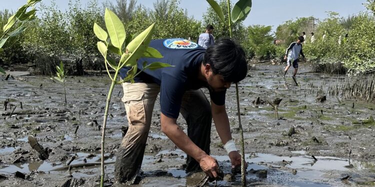Langkah Nyata Merawat Danau Siombak dengan Penanaman 1.000 Bibit Mangrove 993831ab 71d9 41c9 b1b2 6485286dea3b