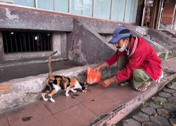 dcc3b323 b8db 4e6a ab1f 905fdaccc703