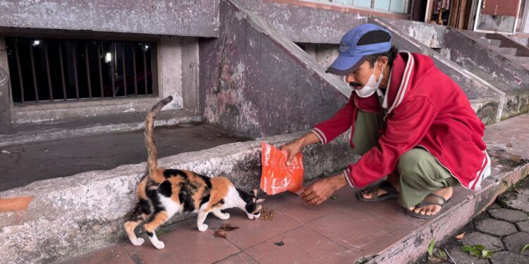 dcc3b323 b8db 4e6a ab1f 905fdaccc703