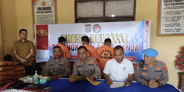 Polres Padang Lawas menangkap tiga kurir ganja seberat 44 kilogram. (Foto: Humas Polres Padang Lawas)
