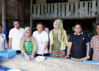 Kolang-kaling Tapanuli Selatan Tembus Pasar Asia, Vietnam Jadi Pembeli Setia f94a5cbf 28fd 4ea5 8d6a 1bea1788fb0c