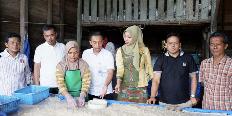 Kolang-kaling Tapanuli Selatan Tembus Pasar Asia, Vietnam Jadi Pembeli Setia f94a5cbf 28fd 4ea5 8d6a 1bea1788fb0c