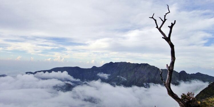 Gunung Bawakaraeng Kini Miliki Fasilitas Baru yang Ramah Lingkungan Lanskap pemandangan dari Gunung Bawakaraeng di Kabupaten Gowa, Sulawesi Selatan. (Foto: Dok.Velysia Zhang)