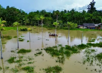Banjir yang merendam 7 distrik di Kabupaten Sorong, Provinsi Papua, Minggu 14 September 2025. (Foto: BPBD Kabupaten Sorong)