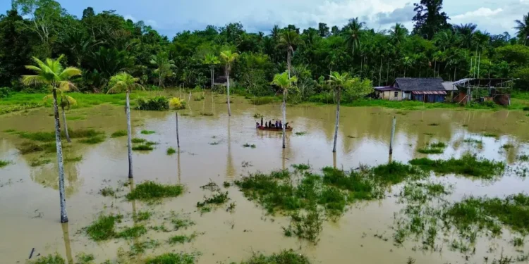 Hujan Deras Picu Banjir di Donggala, Pekanbaru, dan Sorong Banjir yang merendam 7 distrik di Kabupaten Sorong, Provinsi Papua, Minggu 14 September 2025. (Foto: BPBD Kabupaten Sorong)