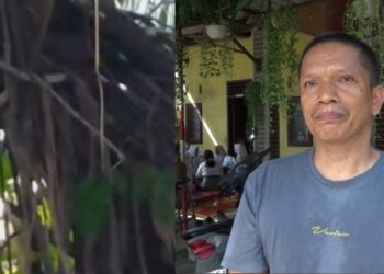 Kolase sarang tawon dan Hermanto, adik korban saat menceritakan kronologis kajadian di rumah duka, Jalan Garu ll B, Medan Amplas, Kota Medan, Senin (27/10/2025). (Foto: narata/Ghiyatuddin)