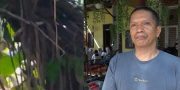 Kolase sarang tawon dan Hermanto, adik korban saat menceritakan kronologis kajadian di rumah duka, Jalan Garu ll B, Medan Amplas, Kota Medan, Senin (27/10/2025). (Foto: narata/Ghiyatuddin)