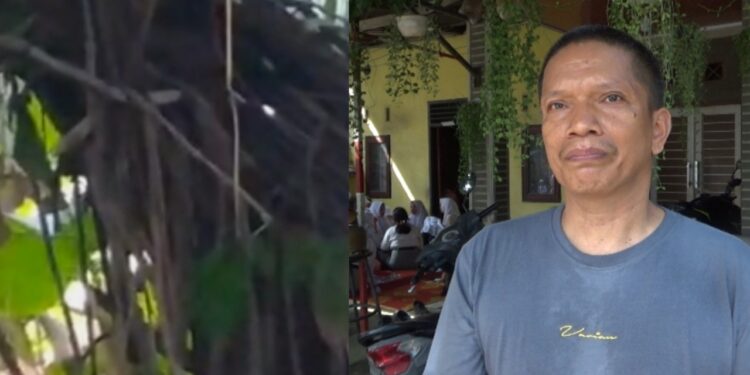 Kolase sarang tawon dan Hermanto, adik korban saat menceritakan kronologis kajadian di rumah duka, Jalan Garu ll B, Medan Amplas, Kota Medan, Senin (27/10/2025). (Foto: narata/Ghiyatuddin)