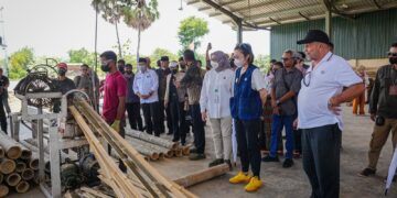 Wakil Menteri Ekonomi Kreatif (Wamen Ekraf) Irene Umar (Foto: Narata/Istimewa)