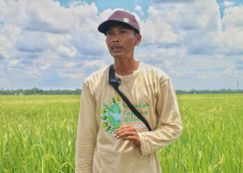 Keluhan Petani di Langkat: 40 Tahun Kesulitan Mengairi Sawah Abdi Mulyo, seorang petani