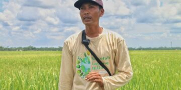 Abdi Mulyo, seorang petani