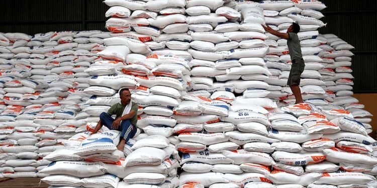 Stok 'Jumbo' Bulog Sumut Jelang Nataru: Beras 34 Ribu Ton, Minyak Goreng 2,5 Juta Liter! Ilustrasi stok beras