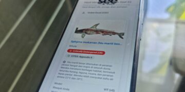 SeeShark, aplikasi AI revolusioner yang hadir sebagai solusi untuk mengidentifikasi spesies hiu secara cepat, akurat, dan masif (Narata: Foto/Istimewa)