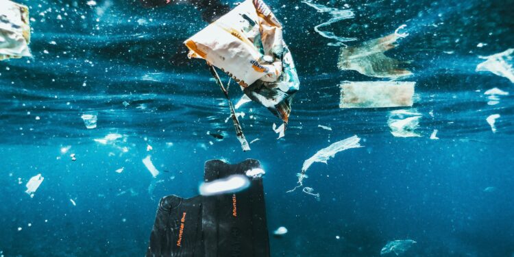 Keterangan foto: Sampah plastik yang ada di perairan Bali. (Sumber foto: Naja Bertolt Jensen via Unsplash)