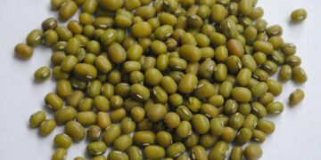 Keterangan foto: Ilustrasi kacang hijau. (Sumber: David Gabrielyan via Unsplash)