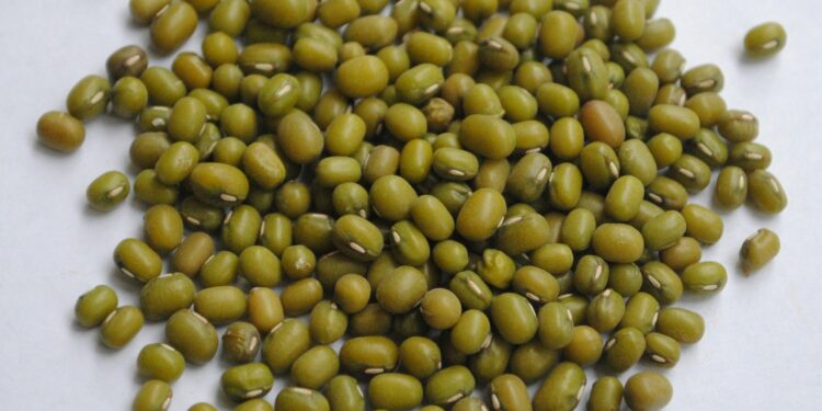 Keterangan foto: Ilustrasi kacang hijau. (Sumber: David Gabrielyan via Unsplash)