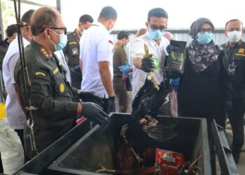 Petugas Balai Karantina Sumut memusnahkan hewan pembawa hama penyakit, Kamis (05/02/2026). (Foto: Dok Barantin Sumut)