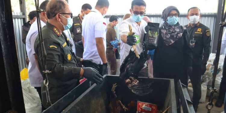 Petugas Balai Karantina Sumut memusnahkan hewan pembawa hama penyakit, Kamis (05/02/2026). (Foto: Dok Barantin Sumut)