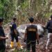 Keterangan foto: Seekor gajah Sumatra ditemukan mati di Desa Pelalawan, Kabupaten Pelalawan, Provinsi Riau, Senin 2 Februari 2026. (Sumber: BBKSDA Riau)