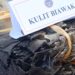 Kulit Biawak tanpa dokumen kesehatan dimusnahkan. (Foto:Narata/Dok BarantinSumut)
