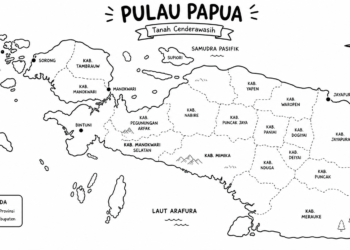Keterangan Foto: Ilustrasi peta Pulau Papua. (Sumber: unsplash/narata)