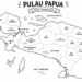 Keterangan Foto: Ilustrasi peta Pulau Papua. (Sumber: unsplash/narata)