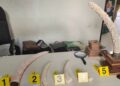 Keterangan Foto: Gading gajah yang diperdagangkan dalam bentuk kerajinan dan barang koleksi di Gianyar, Bali, berhasil disita petugas Kementerian Kehutanan. (Sumber: Kemenhut)