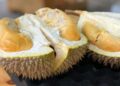 Keterangan Foto: Durian. (Sumber: Jim Teo via Unsplash)