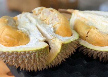 Keterangan Foto: Durian. (Sumber: Jim Teo via Unsplash)