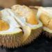 Keterangan Foto: Durian. (Sumber: Jim Teo via Unsplash)