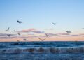 Keterangan Foto: Ilustrasi naiknya massa air laut. (Sumber: Robert Wiedemann via Unsplash)