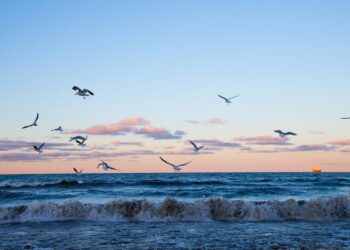 Keterangan Foto: Ilustrasi naiknya massa air laut. (Sumber: Robert Wiedemann via Unsplash)