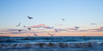 Keterangan Foto: Ilustrasi naiknya massa air laut. (Sumber: Robert Wiedemann via Unsplash)
