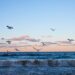 Keterangan Foto: Ilustrasi naiknya massa air laut. (Sumber: Robert Wiedemann via Unsplash)