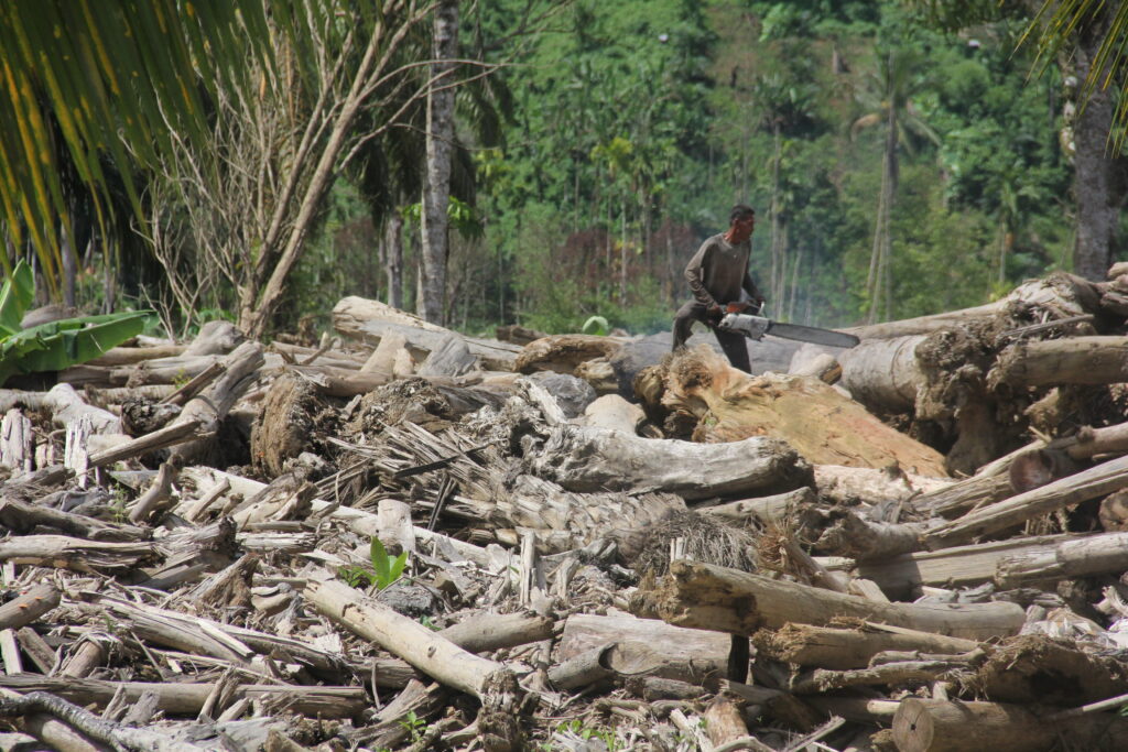 Keterangan: Seorang warga terlihat memotong kayu atau sisa material banjir bandang yang menerjang Desa Garoga, Kabupaten Tapanuli Selatan, Sumatra Utara. (Foto: Ghiyatuddin/narata)