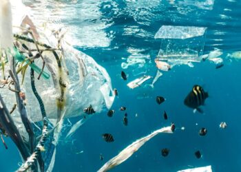 Keterangan: Pencemaran sampah plastik di laut. (Foto: Naja Bertolt Jensen via Unsplash)