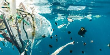 Keterangan: Pencemaran sampah plastik di laut. (Foto: Naja Bertolt Jensen via Unsplash)