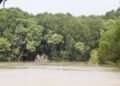 Keterangan Foto: Hutan mangrove di kawasan pesisir Sumatra Utara. (Sumber: narata)