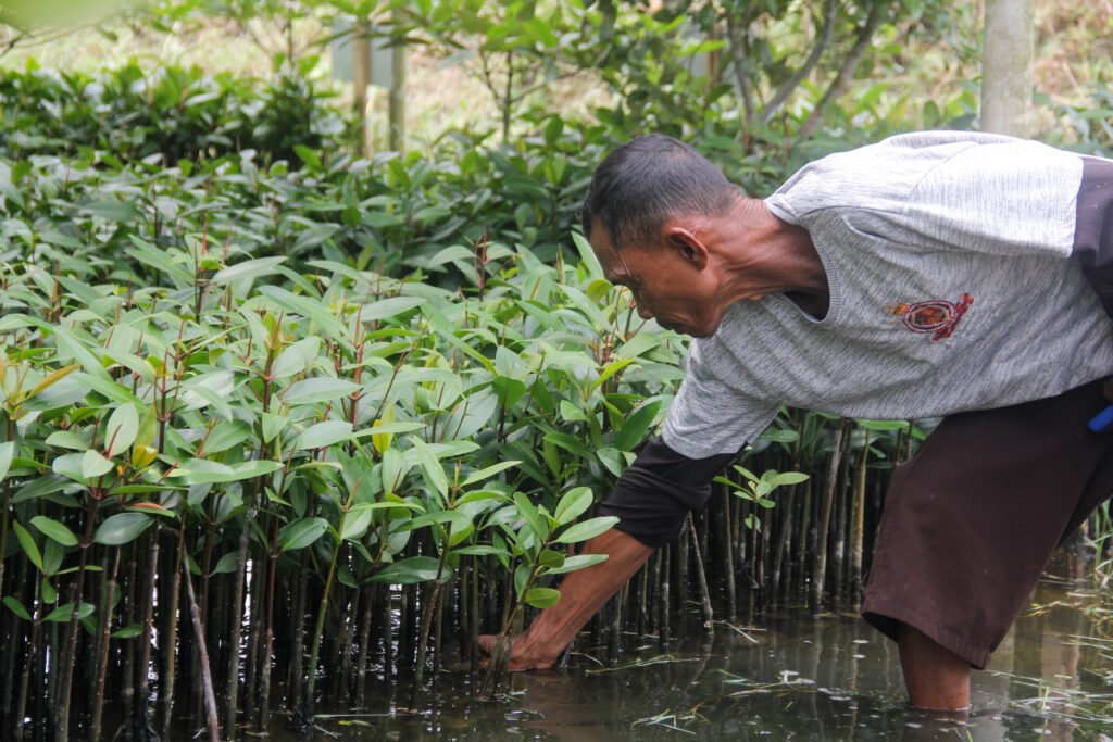 Keterangan Foto: Kelompok Tani Hutan (KTH) Gading Hijau. (Sumber: narata)